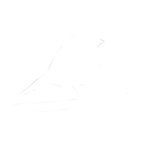 Blckbiird